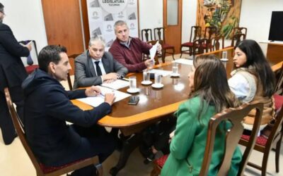 Sin blindaje político: el proyecto en la Legislatura contra el acoso digital no protegerá a funcionarios públicos